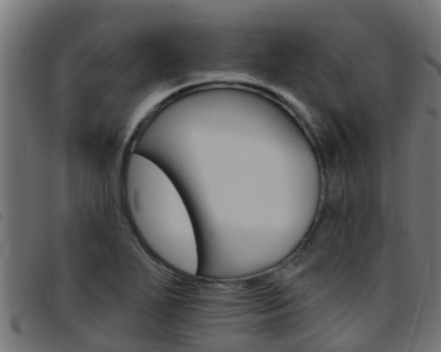 X0000097791271200803070927