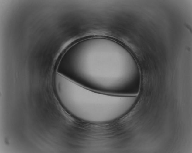 X0000097791272200803070927