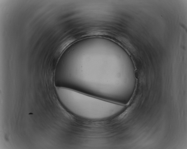 X0000097791273200803070927