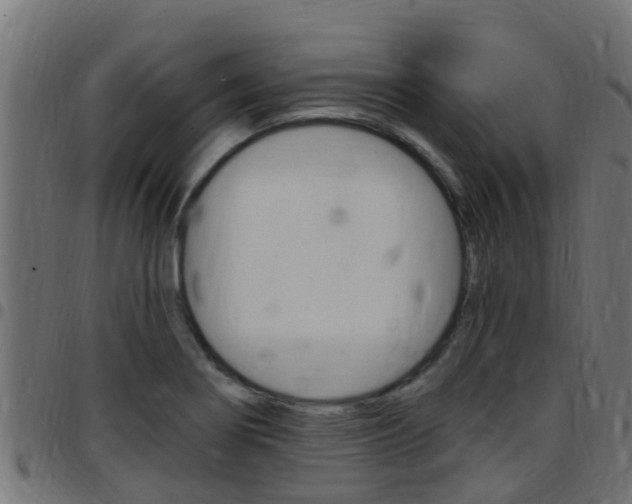 X0000097791274200803070927