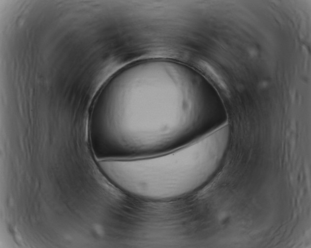 X0000097791276200803070927