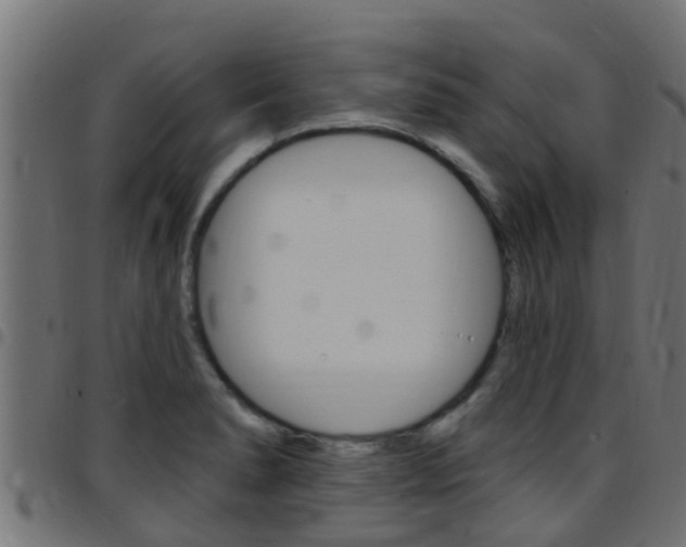 X0000097791278200803070927