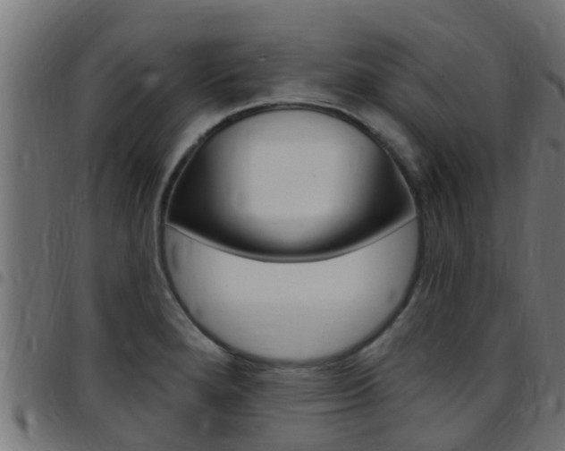 X0000097791280200803070927