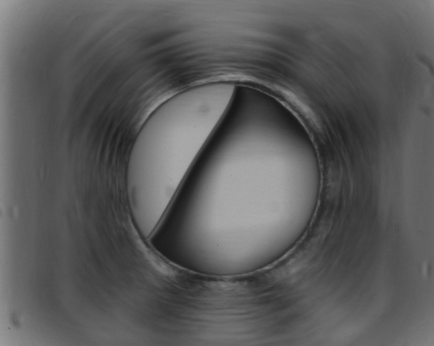 X0000097791281200803070927