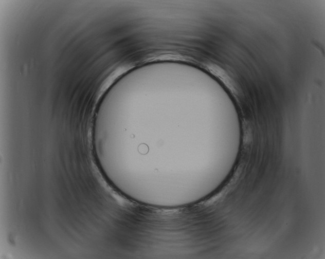 X0000097791282200803070927