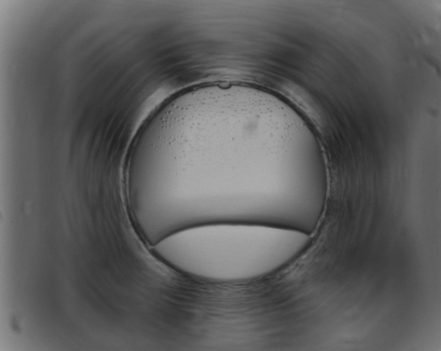 X0000097791283200803070927