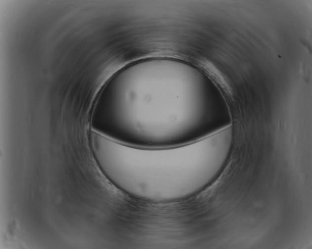 X0000097791284200803070927
