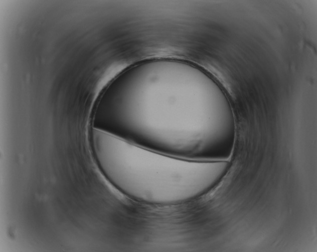 X0000097791285200803070927