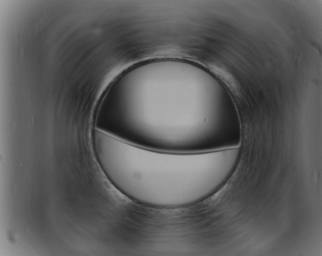X0000097791288200803070927