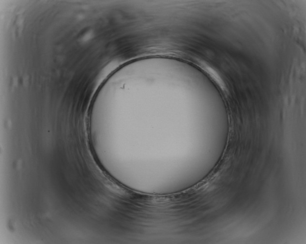 X0000097791291200803070927