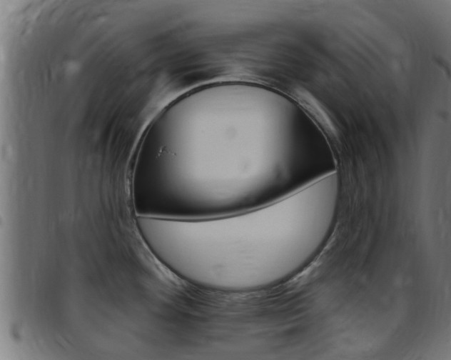 X0000097791292200803070927