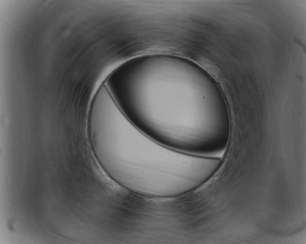 X0000097791296200803070927