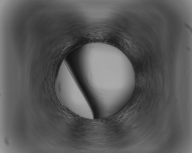 X0000097791297200803070926
