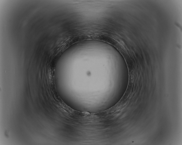X0000097791298200803070926