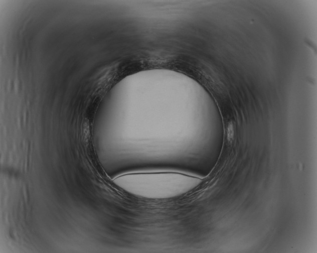 X0000097791299200803070926