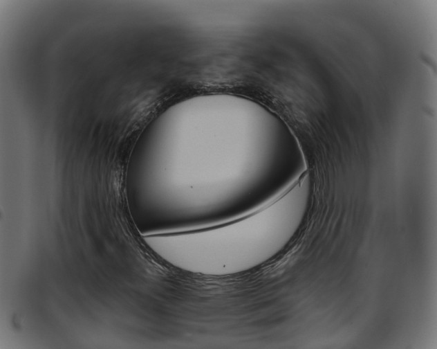 X0000097791300200803070926