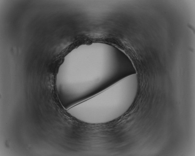 X0000097791301200803070926