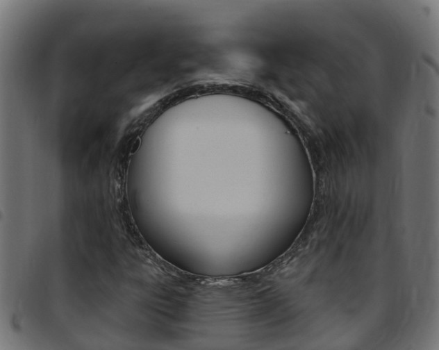 X0000097791303200803070926
