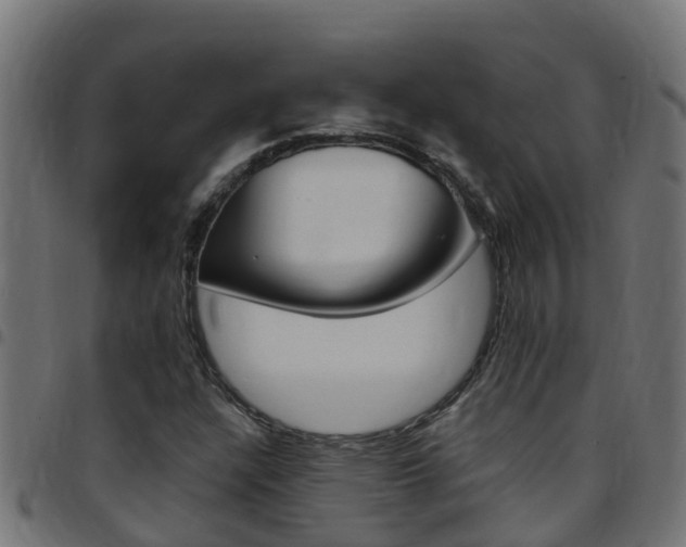 X0000097791304200803070926