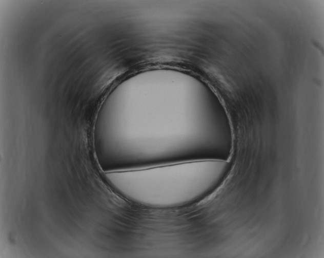 X0000097791305200803070926