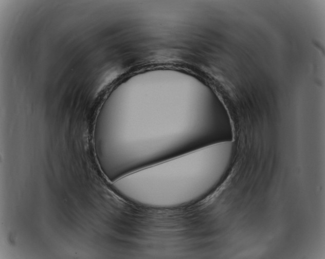 X0000097791306200803070926