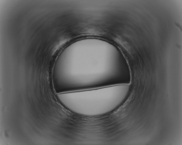 X0000097791307200803070926
