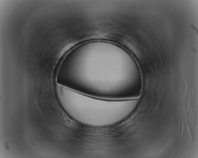 X0000097791308200803070926
