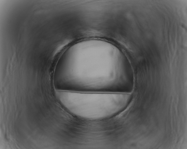 X0000097791309200803070926