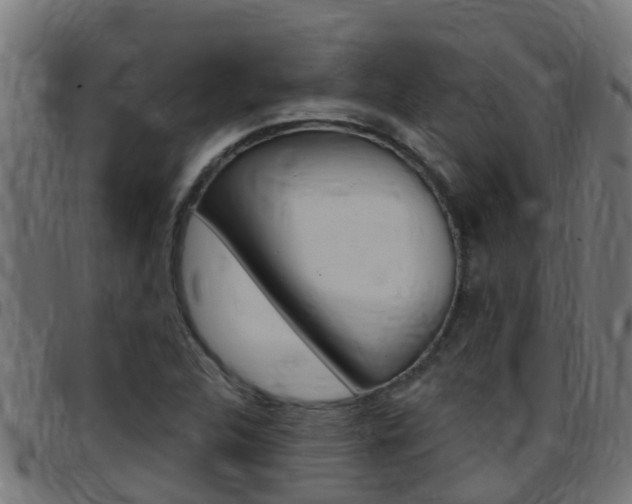X0000097791312200803070926