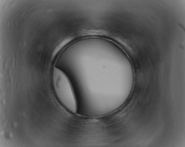 X0000097791317200803070926