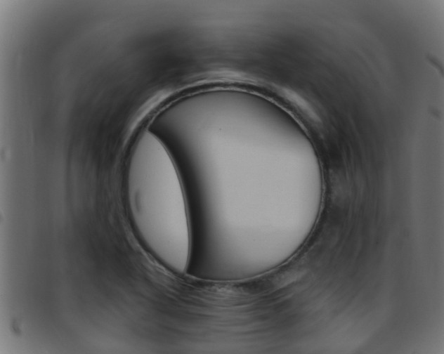 X0000097791318200803070926