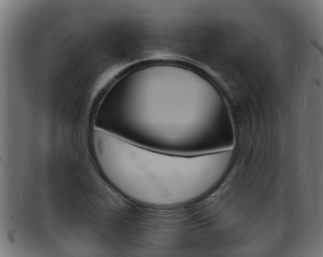 X0000097791319200803070926