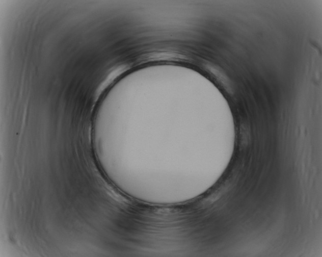 X0000097791322200803070926