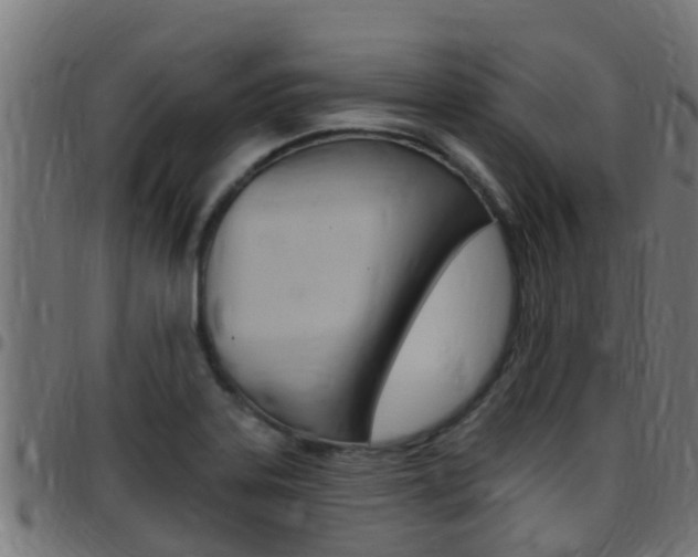 X0000097791323200803070926