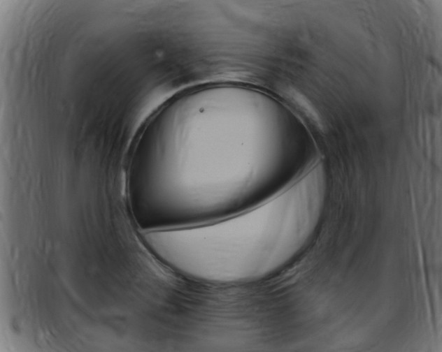X0000097791324200803070927