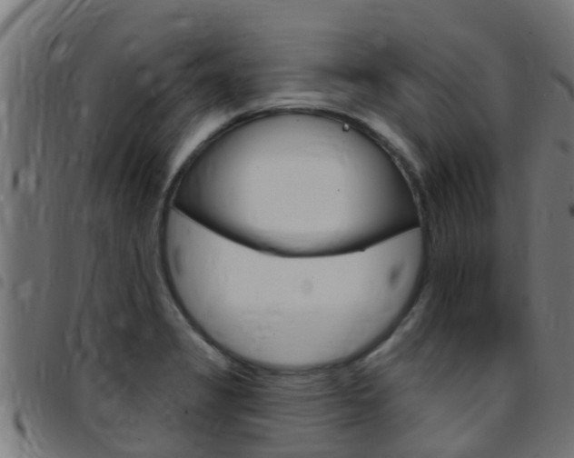 X0000097791325200803070927