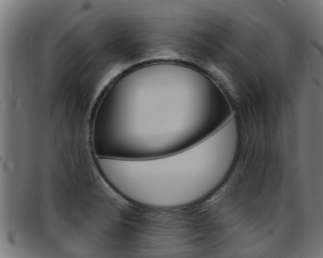 X0000097791326200803070927