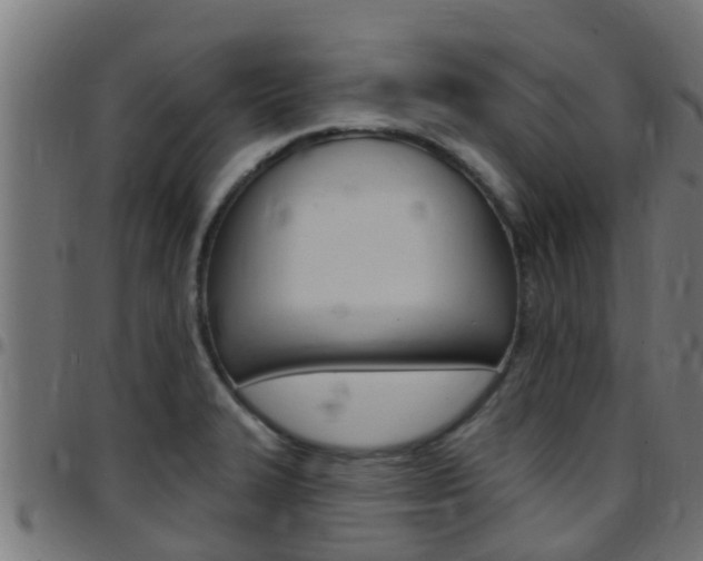 X0000097791327200803070927