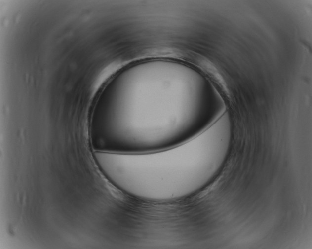 X0000097791328200803070927