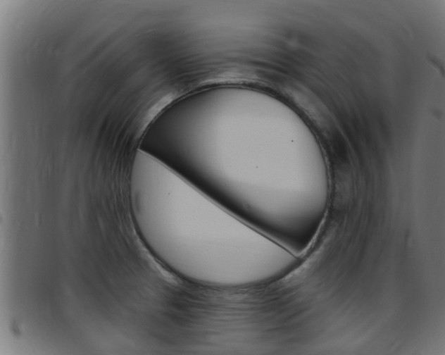 X0000097791329200803070927