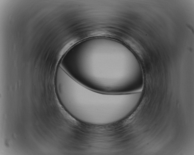X0000097791330200803070927