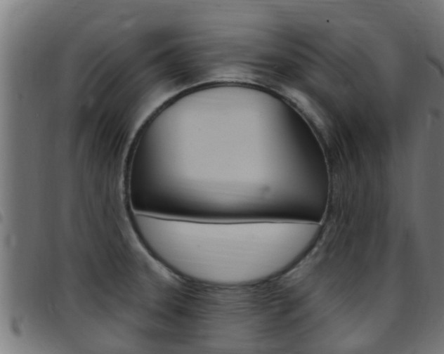 X0000097791331200803070927