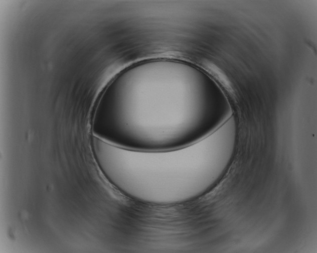 X0000097791332200803070927