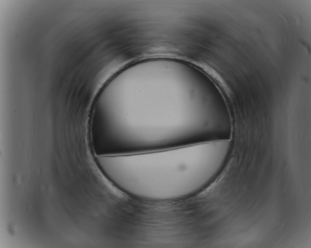 X0000097791333200803070927