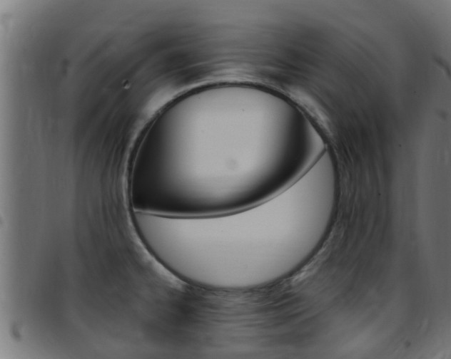 X0000097791334200803070927