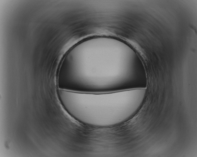X0000097791335200803070927