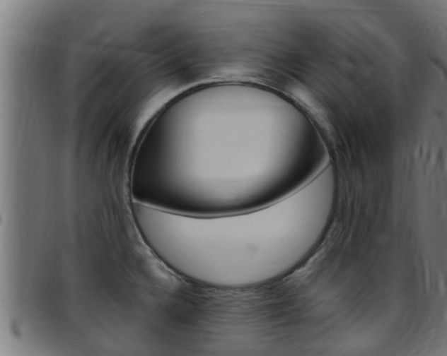 X0000097791336200803070927