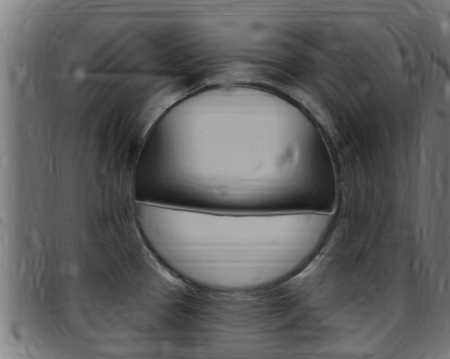 X0000097791337200803070927