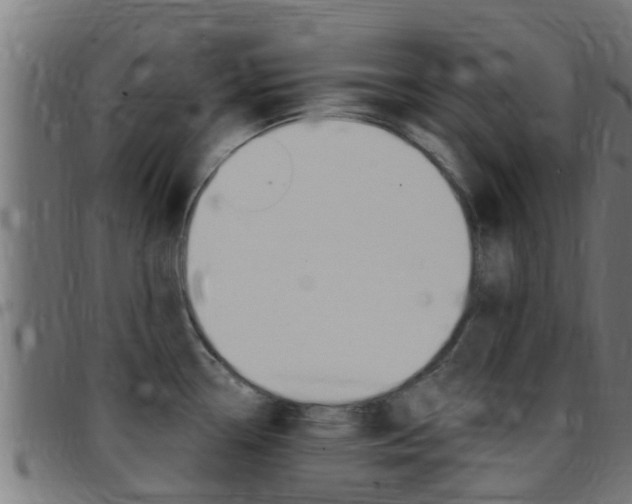 X0000097791338200803070927