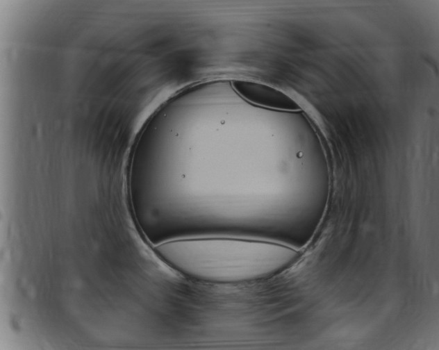 X0000097791341200803070927